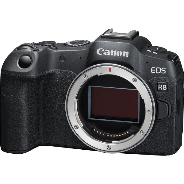 Canon EOS R8 Body Only (With Adapter)